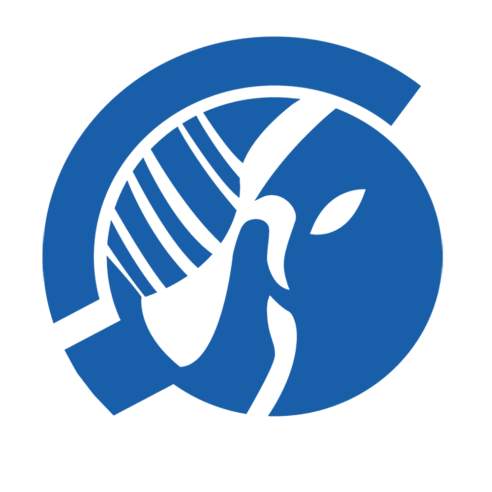 Atenews Logo